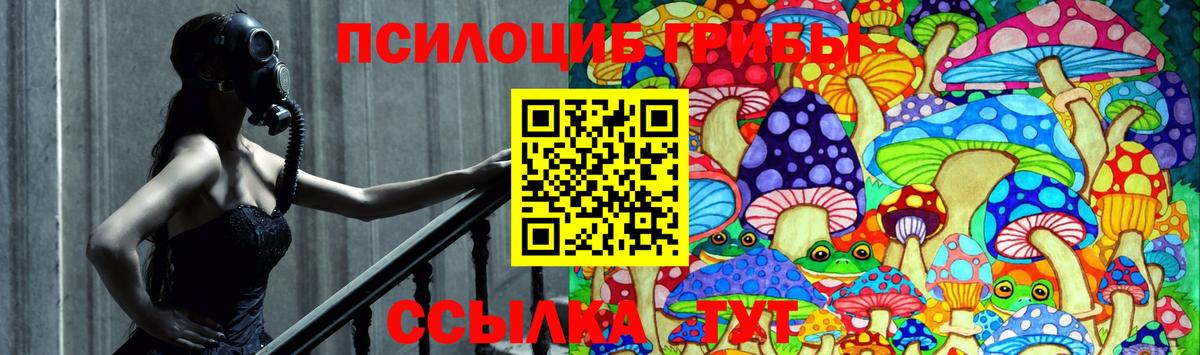 Галлюциногенные грибы GOLDEN TEACHER  Вход с VPN  Тольятти 